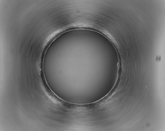 X0000091580438200709101022