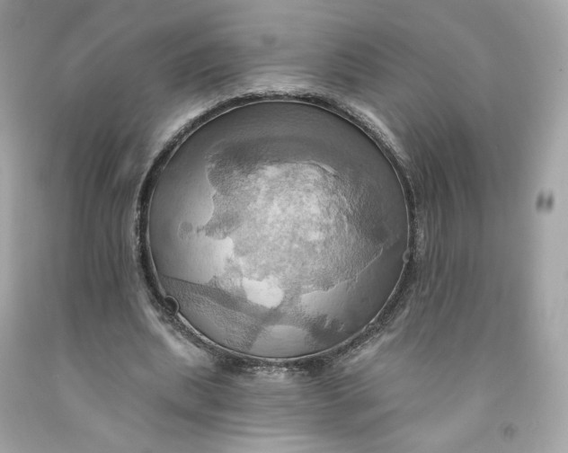 X0000091580439200709101022