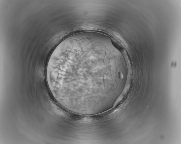 X0000091580441200709101022