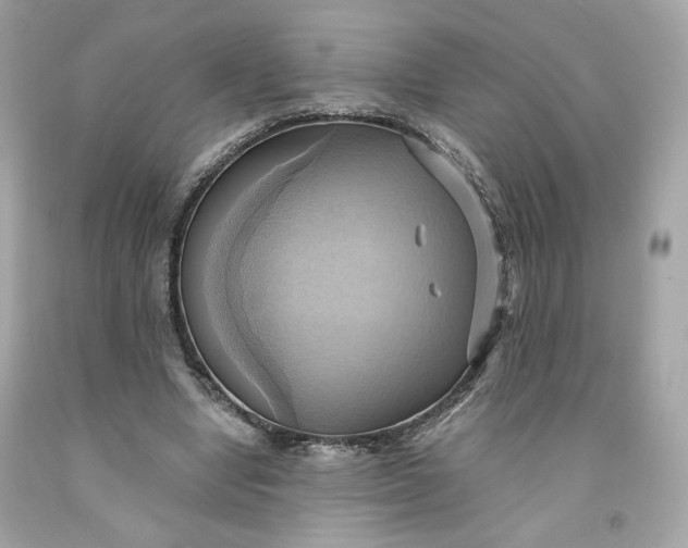 X0000091580442200709101022