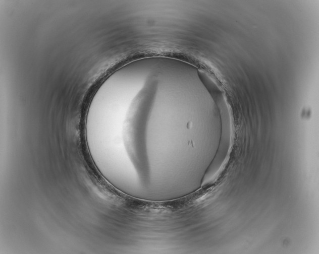 X0000091580443200709101022