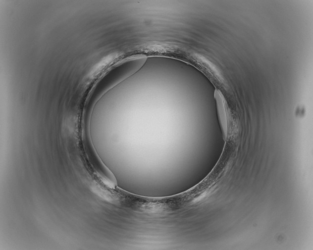 X0000091580444200709101022