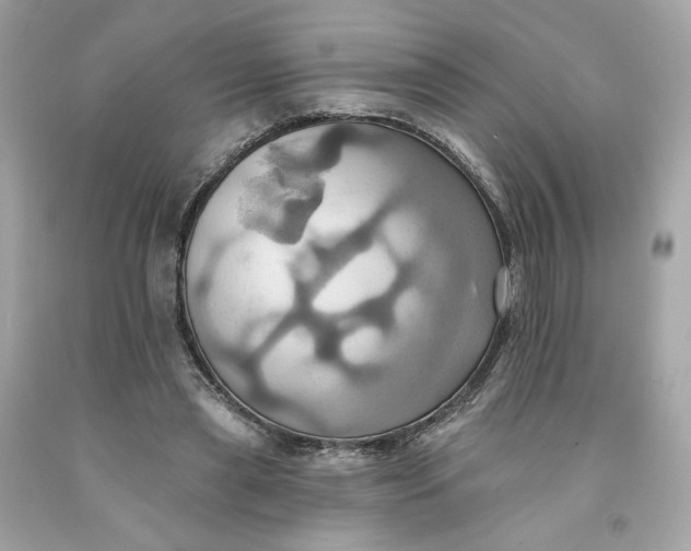 X0000091580445200709101022