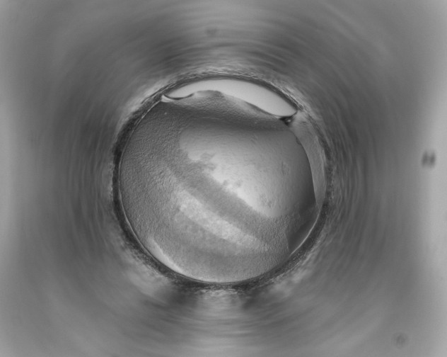 X0000091580446200709101022