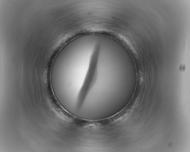 X0000091580447200709101022