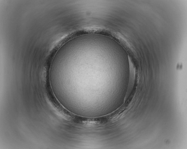 X0000091580448200709101022