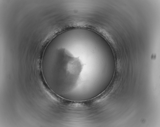 X0000091580449200709101022