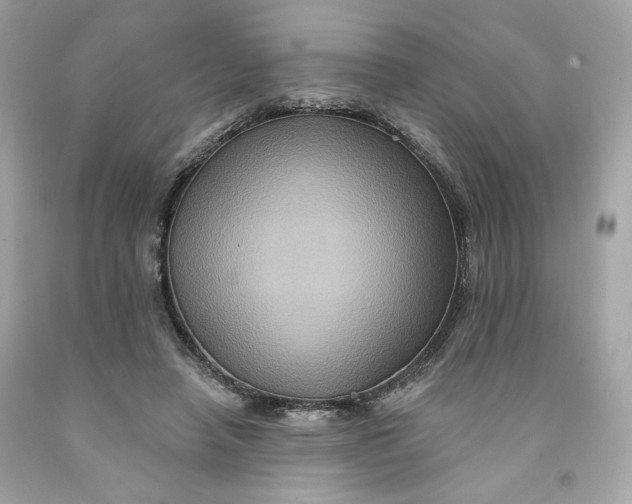 X0000091580450200709101022