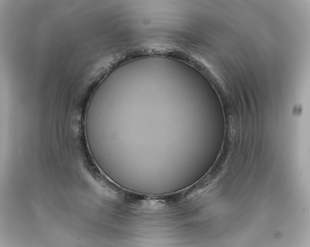 X0000091580451200709101022