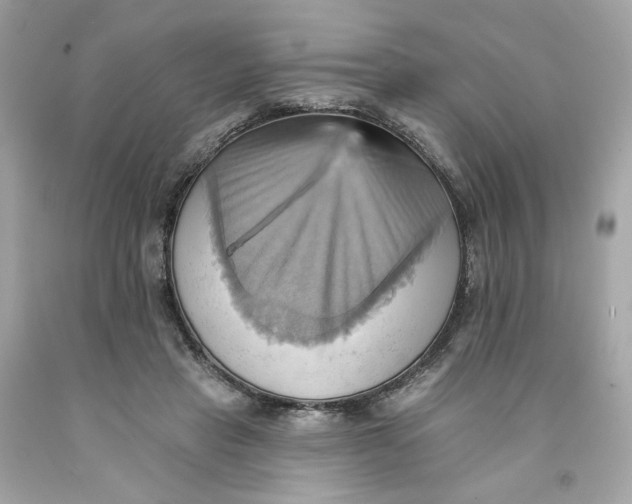 X0000091580453200709101022