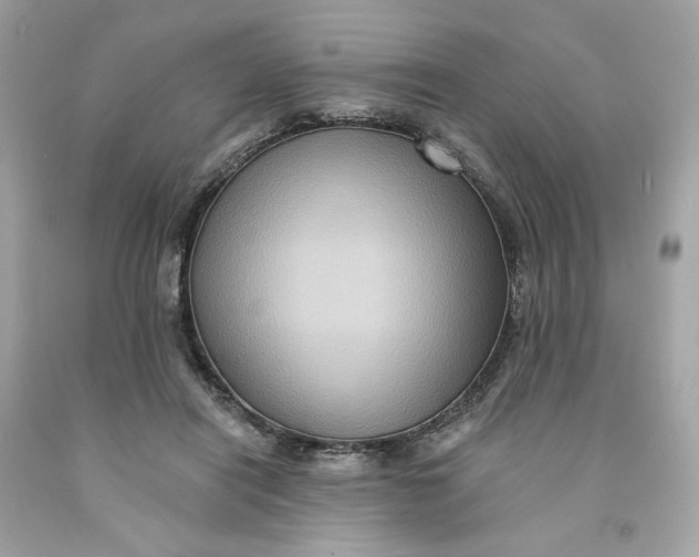 X0000091580454200709101022