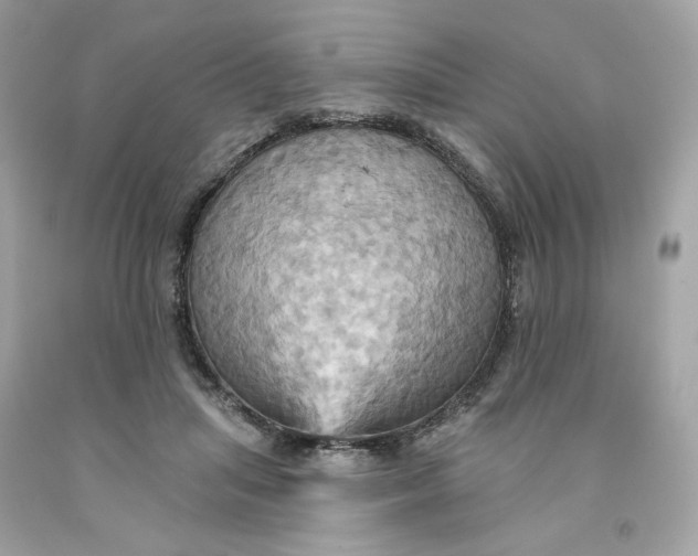 X0000091580455200709101022