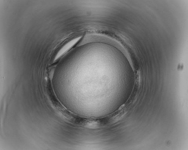 X0000091580456200709101022