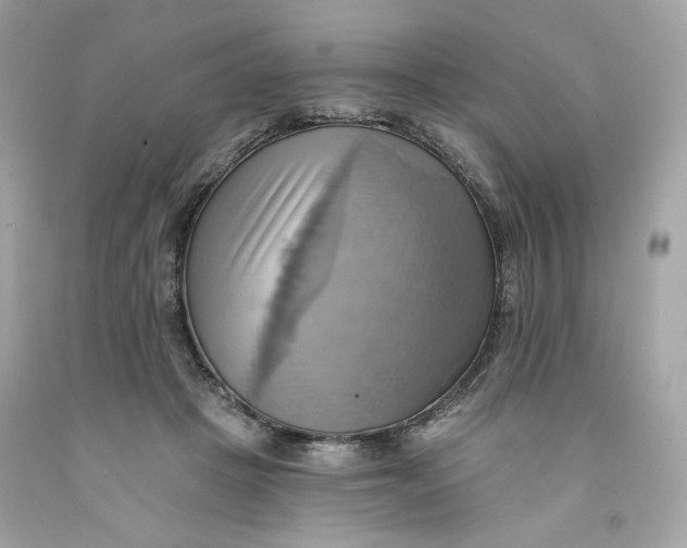 X0000091580457200709101022