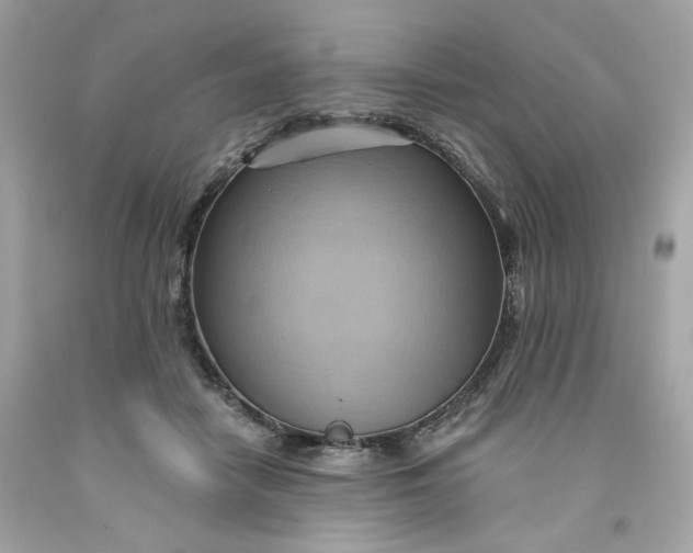 X0000091580458200709101022