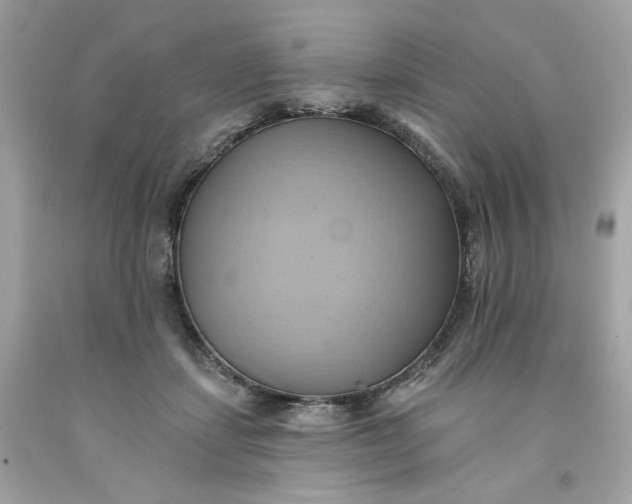 X0000091580459200709101022