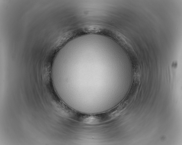 X0000091580460200709101022