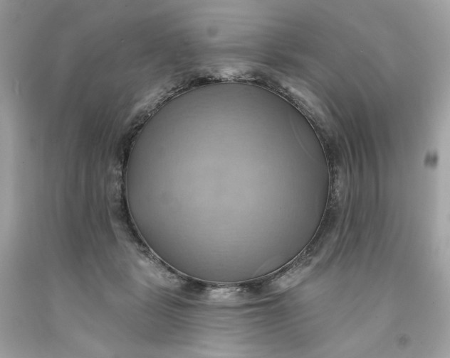 X0000091580461200709101022