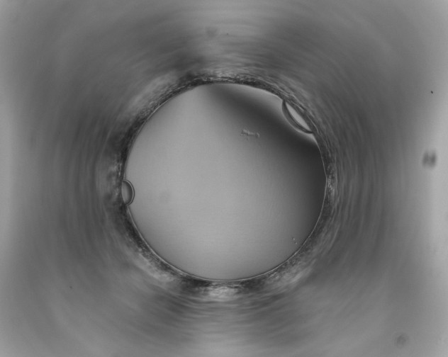 X0000091580462200709101022