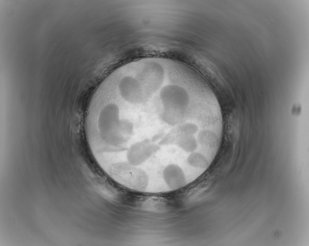 X0000091580463200709101022