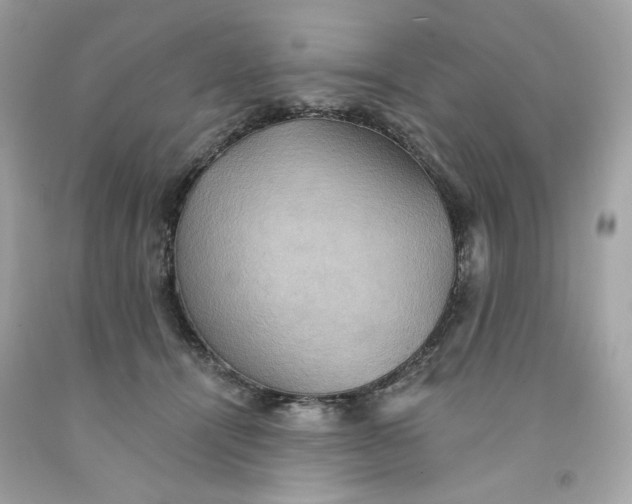 X0000091580464200709101022