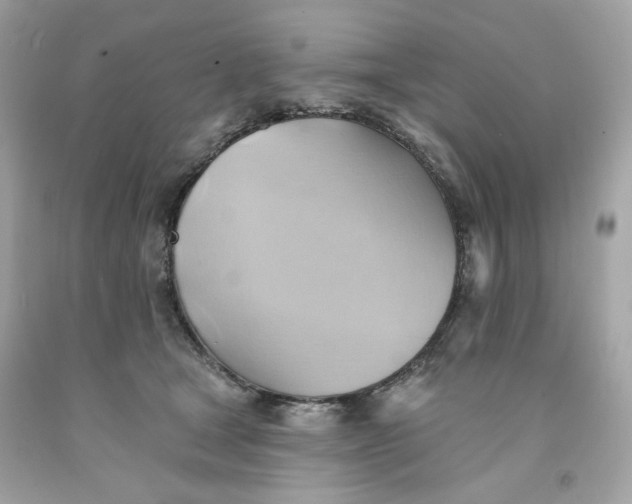 X0000091580465200709101022