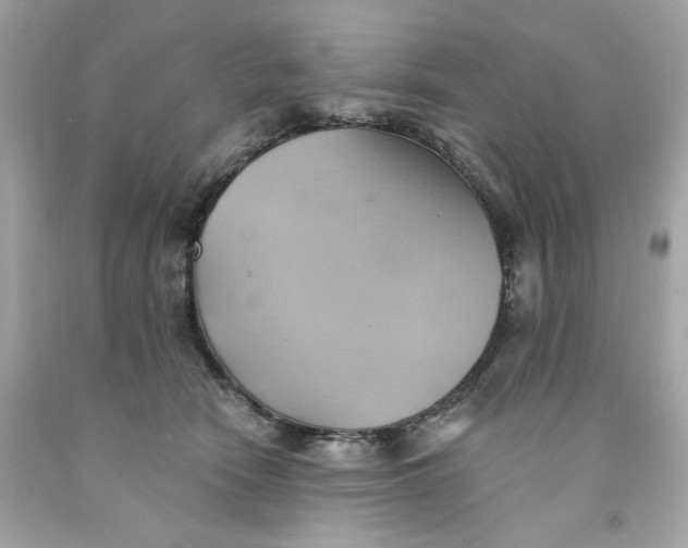 X0000091580466200709101022