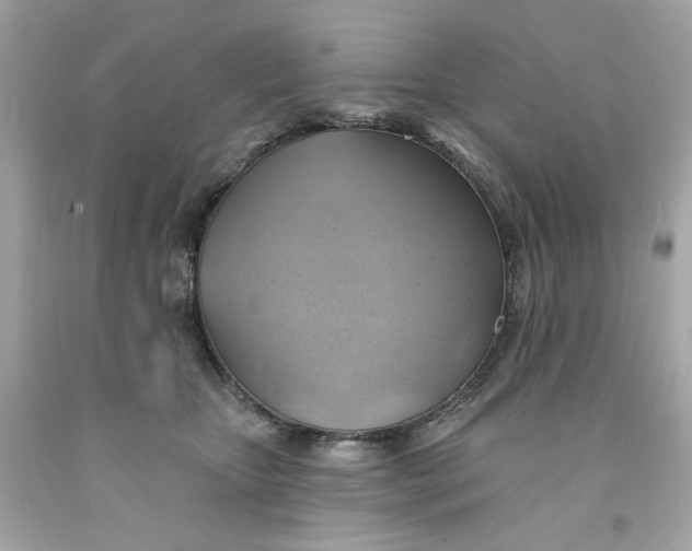 X0000091580467200709101022