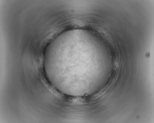 X0000091580468200709101022