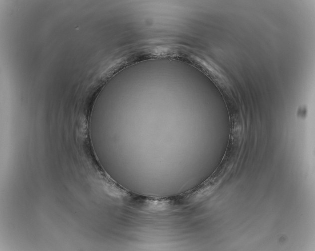 X0000091580469200709101022