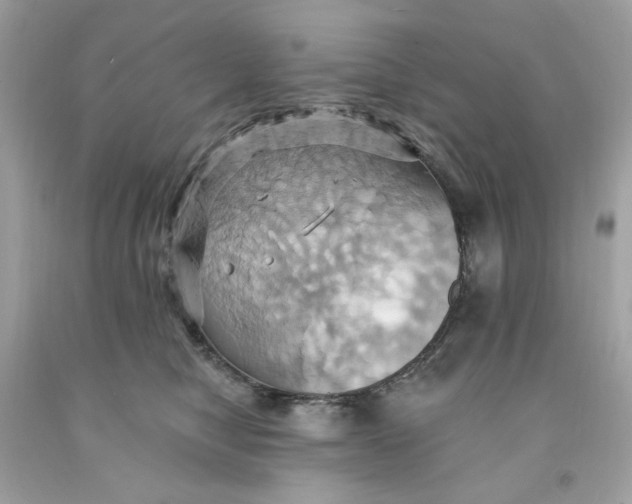 X0000091580470200709101022