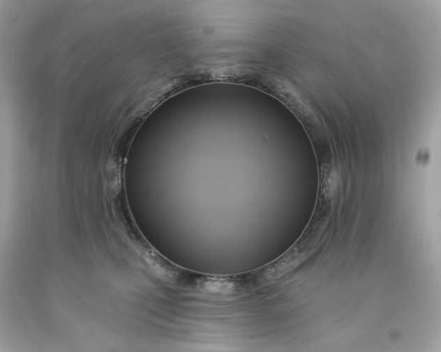 X0000091580471200709101022