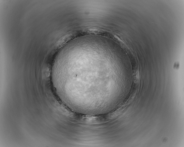 X0000091580472200709101022