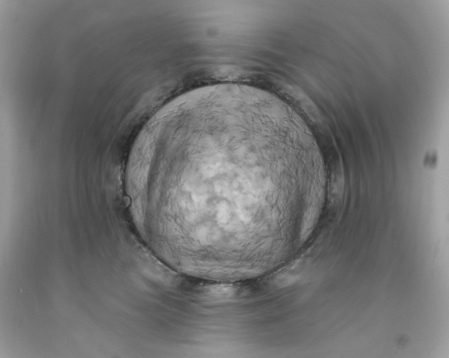 X0000091580473200709101022