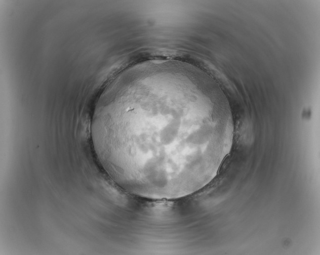 X0000091580474200709101023