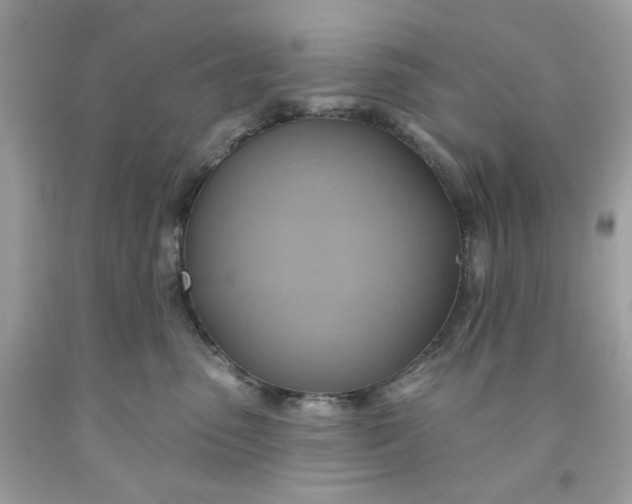 X0000091580475200709101023