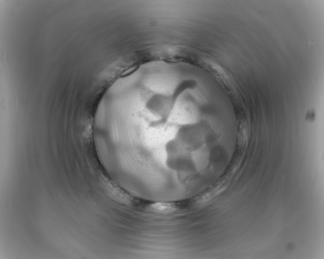 X0000091580477200709101023