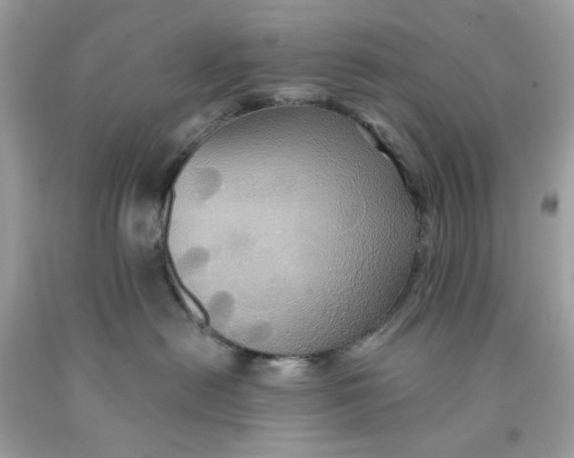 X0000091580478200709101023