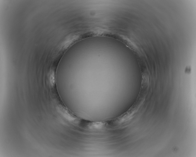 X0000091580479200709101023