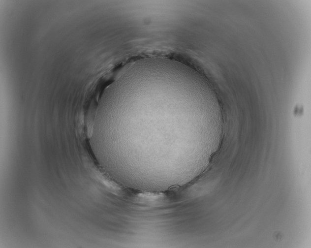 X0000091580480200709101023