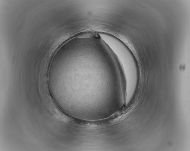 X0000091580481200709101022