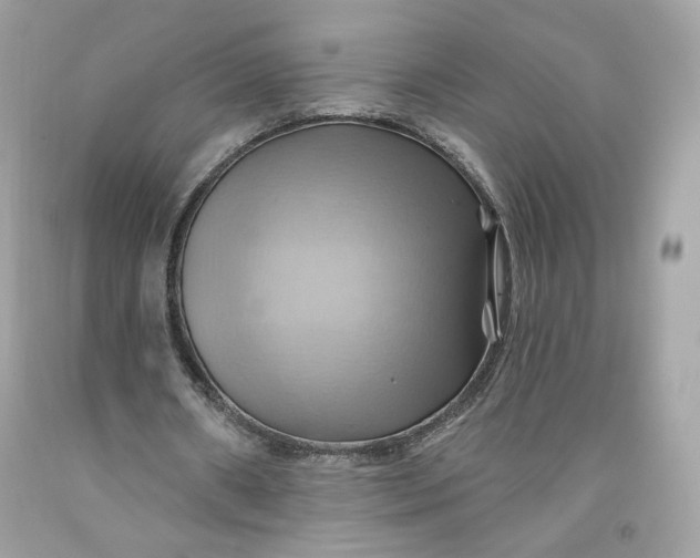 X0000091580482200709101022