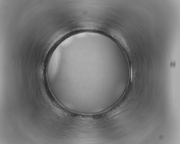 X0000091580483200709101022