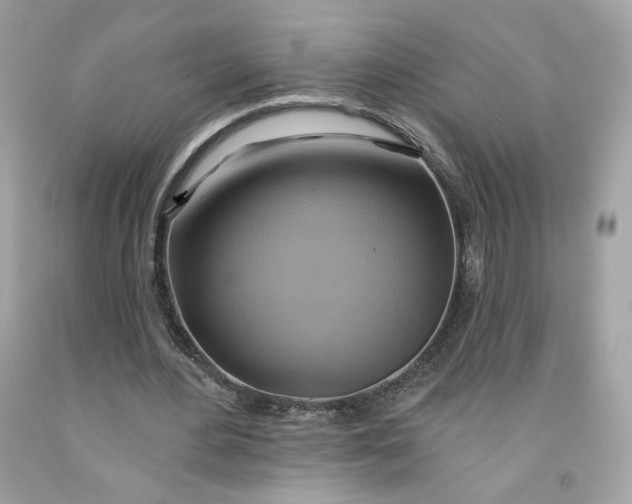 X0000091580484200709101022