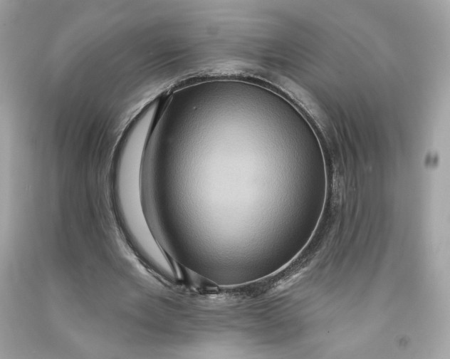 X0000091580485200709101022