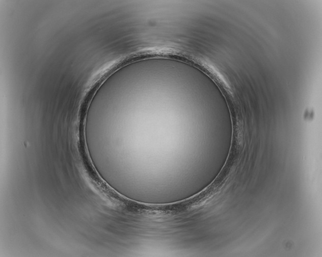 X0000091580486200709101022