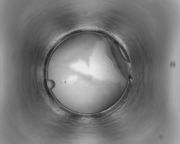 X0000091580487200709101022