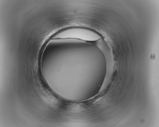 X0000091580488200709101022