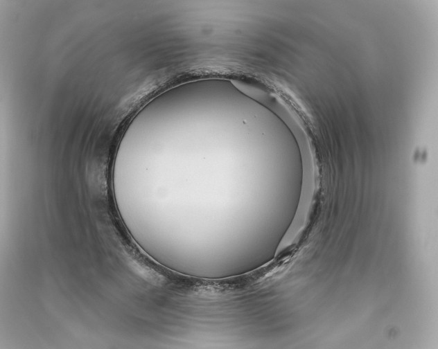 X0000091580489200709101022