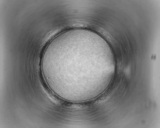 X0000091580490200709101022